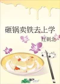 《砸锅卖铁去上学》小说封面