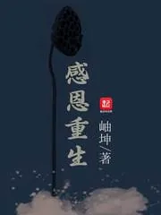 《感恩重生》小说封面