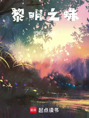 《黎明之蛛》小说封面