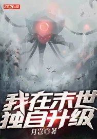《我在末世独自升级》小说封面