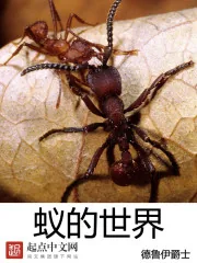 《蚁的世界》小说封面