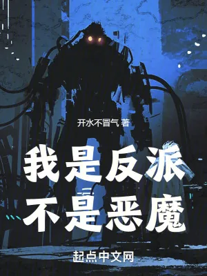 《我是反派，不是恶魔》小说封面