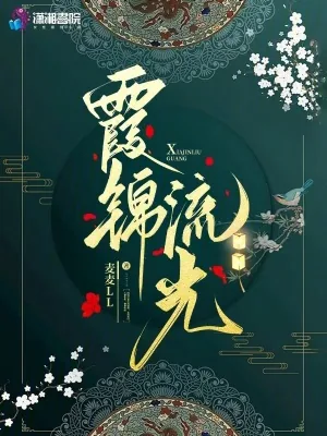 《霞锦流光》小说封面