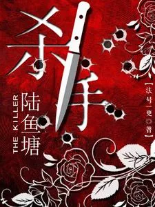 《杀手陆鱼塘》小说封面