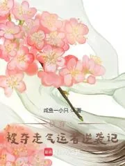 《快穿：被夺走气运者逆袭记》小说封面