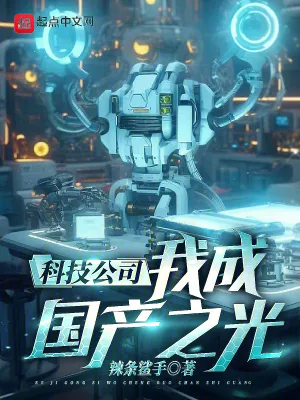 《科技公司，我成国产之光！》小说封面