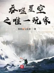《吞噬星空之唯一玩家》小说封面