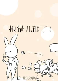 《抱错儿砸了！》小说封面