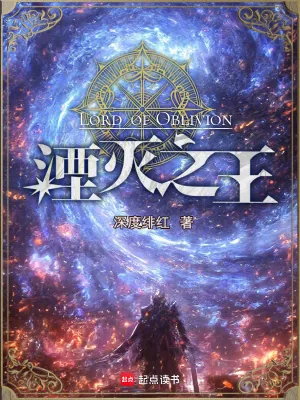 《湮灭之王》小说封面