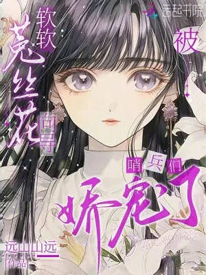 《顶级向导！哨兵们被迷得神魂颠倒》小说封面