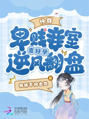 《快穿，卑贱妾室靠好孕逆风翻盘》小说封面