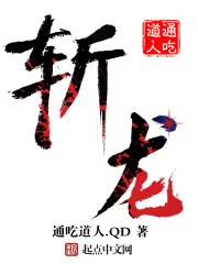 《斩龙》小说封面