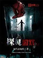 《探灵游戏》小说封面