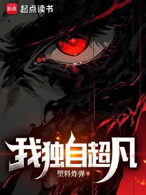 《我独自超凡》小说封面