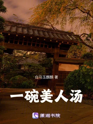 《一碗美人汤》小说封面