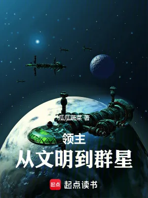 《领主：从文明到群星》小说封面