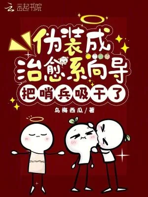 《伪装成治愈系向导，把哨兵吸干了》小说封面