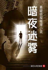 《暗夜迷雾》小说封面