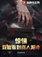 《惊悚：我能看到别人阳寿》小说封面