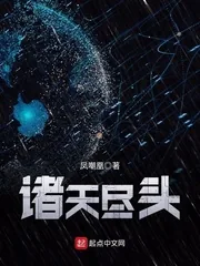 《诸天尽头》小说封面