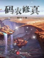 《码农修真》小说封面