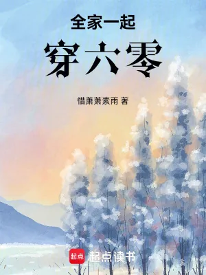 《全家一起穿六零》小说封面