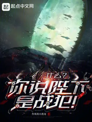 《什么？你说陛下是战犯！！》小说封面
