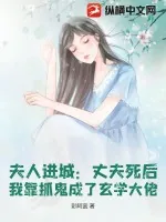 《夫人进城：丈夫死后，我靠抓鬼成了玄学大佬》小说封面