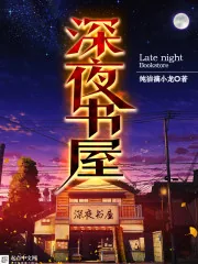 《深夜书屋》小说封面