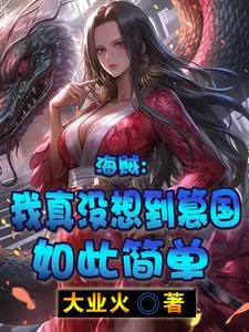 《海贼：我真没想到篡国如此简单》小说封面