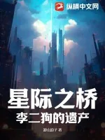 《星际之桥：李二狗的遗产》小说封面