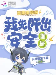 《酸雨来临前，我先肝出安全堡垒》小说封面