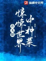 《在无限惊悚世界中种菜》小说封面