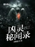 《凶灵秘闻录》小说封面