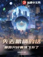 《失去眼睛的话，那我只好赛博飞升了》小说封面