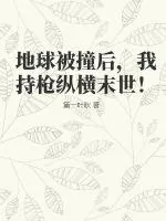 《地球被撞后，我持枪纵横末世！》小说封面