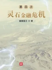《第四次灵石金融危机》小说封面