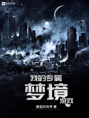 《我的专属梦境游戏》小说封面