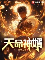 《天命神婿》小说封面