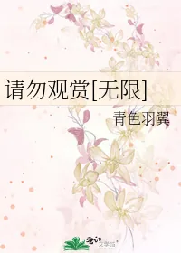 《请勿观赏[无限]》小说封面