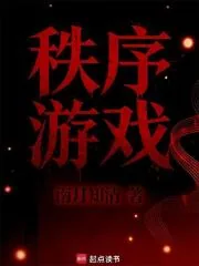 《秩序游戏》小说封面