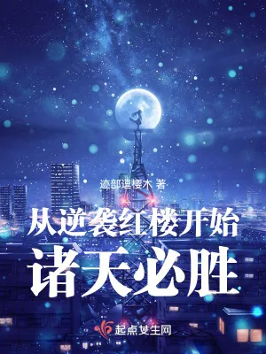 《从红楼开始打穿诸天》小说封面
