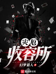 《灾厄收容所》小说封面
