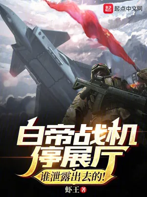 《白帝战机停展厅？谁泄露出去的！》小说封面