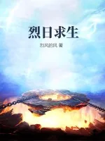 《烈日求生》小说封面