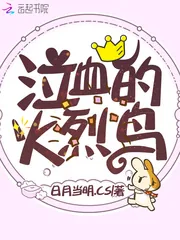 《泣血的火烈鸟》小说封面