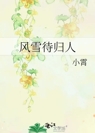 《风雪待归人》小说封面