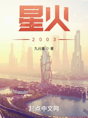 《星火2003》小说封面