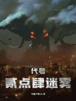 《代号：贰点肆迷雾》小说封面