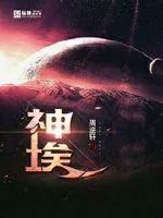 《神埃》小说封面